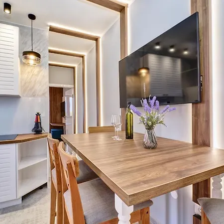 Luxury Apartment