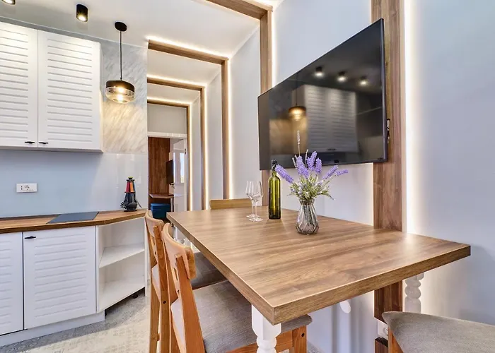 Luxury Apartment